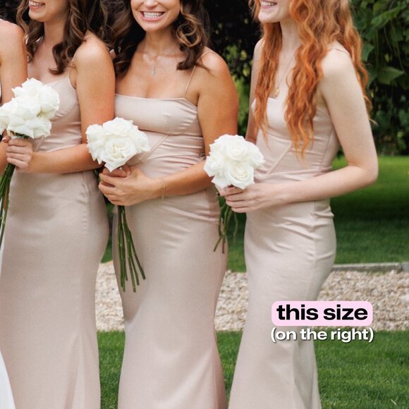 MESHKI champagne, bridesmaid dress (WORN ONCE) - Picture 3 of 3